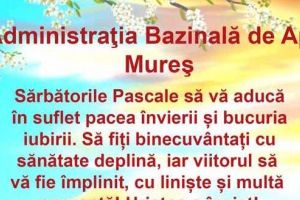 Sănătate, linişte, speranţă – mesajul Administraţiei Bazinale de Apă Mureş, de Sărbătorile Pascale