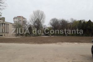 Se organizeaza licitatie. Peste 100 de arbori ornamentali vor fi plantati in zona Policlinii nr.2 din municipiul Constanta