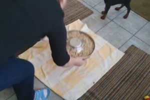 #ConstantaEsteBine Obiceiuri si dezvatari aduse in discutie de dr. Sorina Soescu 
