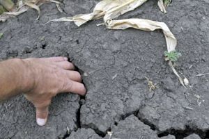 Seceta prelungită activează comisiile de evaluare a pagubelor