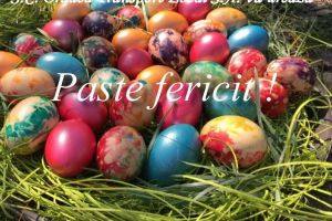 Conducerea şi colectivul S.C. Oradea Transport Local vă urează Paşte Fericit!