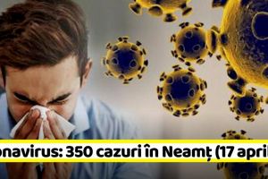 Coronavirus: 350 de cazuri în Neamţ. Vezi situaţia pe judeţe (17 aprilie)