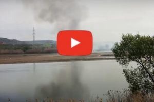 VIDEO – ÎN VINEREA NEAGRĂ. INCENDIU SPECTACULOS PE FALEZA ARGEȘULUI