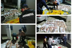 Jandarmii din Braşov au confiscat, astăzi, 40 de kilograme de peşte şi au aplicat sancţiuni