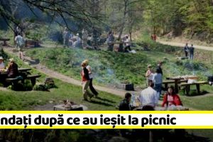NEAMȚ: 10 persoane amendate după ce au ieşit la picnic