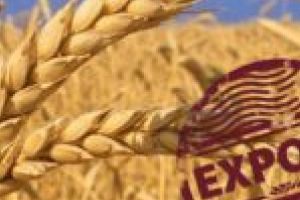 Exportăm sau nu cereale pe timp de criză? Răspunsuri clare în videoconferinţa PRIA Agriculture