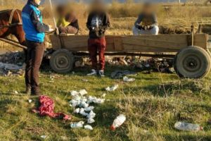 Bărbaţi amendaţi de jandarmi după ce au aruncat gunoi menajer într-o zonă interzisă