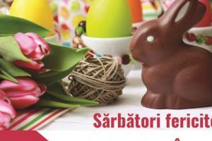 AZOMUREȘ vă urează Sărbători Fericite!