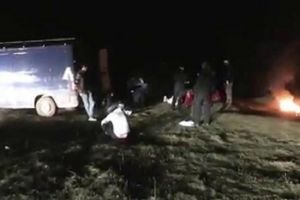 Au ieşit la grătar, în plină noapte, pe un câmp de lângă Pătrăuţi