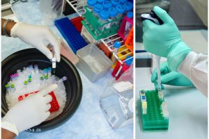 Numărul bihorenilor infectaţi cu coronavirus a ajuns la 241