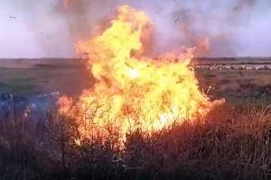 Cioban cu focuri: Complexul de la Cefa, cât pe ce să fie distrus de un incendiu provocat de un oier (VIDEO)