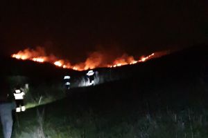 FOTO Incendiu puternic la marginea unei localităţi. Focul a fost pus intenţionat