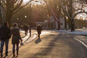 În mai multe ţări europene se ridică, treptat, interdicţiile impuse de pandemie