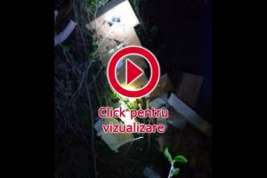 Hoţii au scos marfă dintr-un depozit din Șcheia după ce au decupat peretele