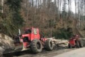 „Exploatarea forestieră criminală” de la Văliug e perfect legală!