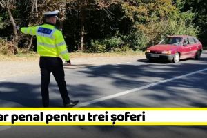 NEAMȚ: Dosar penal pentru trei şoferi. Au fost prinşi conducând băuţi sau fără permis