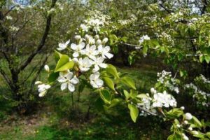 Valorile termice sunt în scădere, iar temperaturile sunt mai mici decât normalul perioadei