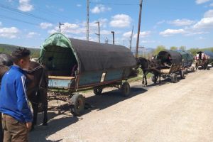 Un convoi de căruţe, din care făceau parte 13 persoane, a fost oprit de jandarmi în Aiud. Au fost aplicate sancţiuni de 10.000 de lei
