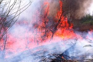 Sărbători de foc! Pompierii vrânceni au intervenit pentru stingerea mai multor incendii în judeţ