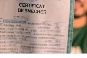 Smecheria nu este masurata in numarul de “spartani pe metrul patrat”, este mai mult! Daniel, Pimen si Puric, cu ale sale “haimanale”