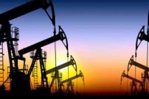 Ministrul Economiei: România nu va fi afectată, pe termen scurt, de scăderea drastică a preţului petrolului din Statele Unite