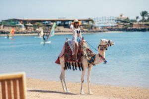 Linie telefonică destinată clienţilor din turism