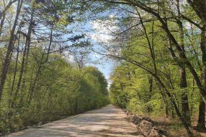 FOTO| Lucrările de modernizare la Transalpina de Apuseni, DJ 107i, în zona pădurii Sloboda, avansează vizibil
