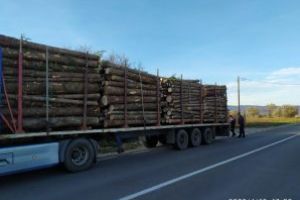 Forţele de ordine continuă acţiuniile pentru verificarea activităţii operatorilor economici ce desfăşoară activităţi în domeniul silvic