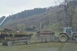 Tractor cu lemne furate depistat între Merghindeal şi Dealul Frumos