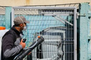 Continua actiunile de dezinsectie la Constanta. Unde se va actiona astazi 