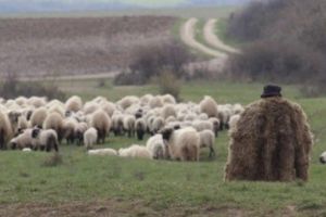 Un cioban care şi-a ucis un coleg chiar în ziua de Paşte a fost condamnat la 30 de ani de închisoare. Criminalul deţine un cazier ȘOCANT