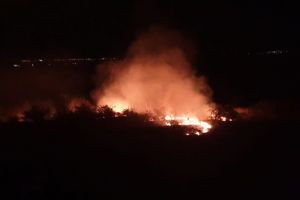 VIDEO & FOTO Inconştienţă! Foc uriaş la marginea unei păduri din judeţul Botoşani. Au intervenit pompierii civili