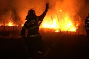 Incendiu de vegetaţie uscată pe o păşune împădurită, zona Gheorgheni spre Lacu Roşu