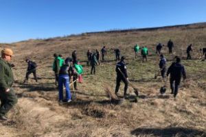 Aproape 25 de hectare de teren dintr-o comună din Botoşani, împădurite de Garda Forestieră