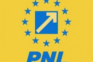 Panicã totalã in PNL Prahova. Ridicolul de la centru ii scade in sondaje grav pe liberali