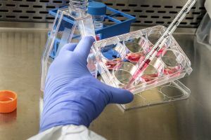 Record de noi cazuri de coronavirus în Bihor, dar şi de „externări” din centrele de carantină de lângă Oradea!