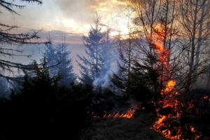 Incendiu stins după 20 de ore. Au fost afectate circa 5 hectare