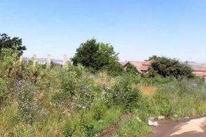 Târgu-Mureş: Finanţare de 1,2 milioane de euro pentru un Centru Multifuncţional pentru persoane defavorizate