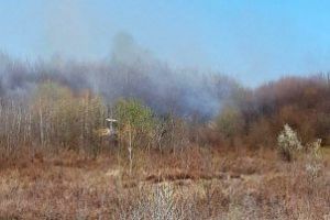 În ultimele 24 de ore: Șapte incendii de vegetaţie uscată în tot atâtea localităţi din judeţ