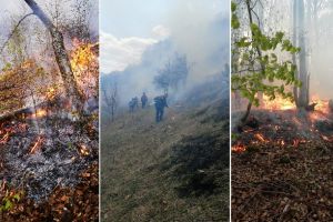 FOTO, VIDEO| INCENDII de pădure şi vegetaţie în Lupşa şi Poşaga: Intervin pompierii Câmpeni cu 3 autospeciale