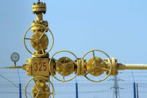APM Constanta, citata in instanta: Asociatia Dominocost solicita anularea a doua acte de mediu pentru o statie de masurare a gazelor naturale si a unui centru de control in Tuzla (documente)