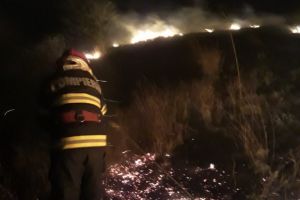 Pompierii din Macin in actiune. Vegetatia uscata din apropierea localitatii Jijila a ars ca o torta