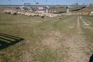 Un bărbat reclamă că proprietatea sa din Moara este încălcată şi folosită abuziv de ...