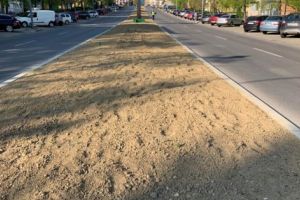 CALEA BUCUREŞTI, O NOUĂ FAŢĂ