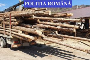 Cât lemn au confiscat şi ce amenzi au dat poliţiştii în urma unor controale pe Valea Someşului şi Valea Sălăuţei