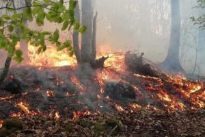 VIDEO| Continuă intervenţia de stingere a INCENDIILOR de vegetaţie şi pădure din Apuseni. 5 autospeciale si 20 de pompieri sunt la faţa locului