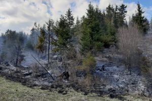 Incendiile de vegetaţie uscată, un pericol