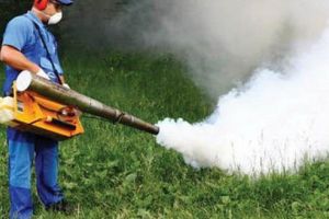 Târgu-Mureş: Încep activităţile de deratizare şi dezinsecţie pe domeniul public!