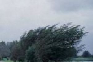 Vânt puternic în jumătate de ţară. Judeţele Caraş-Severin şi Timiş, pe harta galbenă a meteorologilor