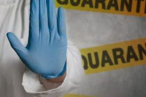 INFO. Câţi mureşeni sunt autoizolaţi şi în carantină